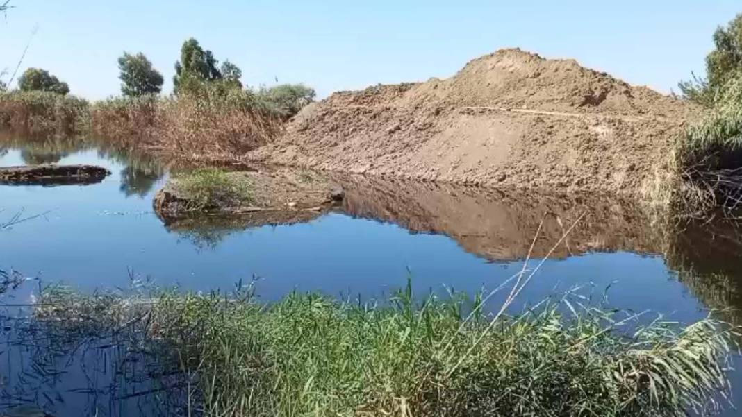 Büyük Menderes Havzası'ndaki toplu balık ölümlerinin nedeni belli oldu 2
